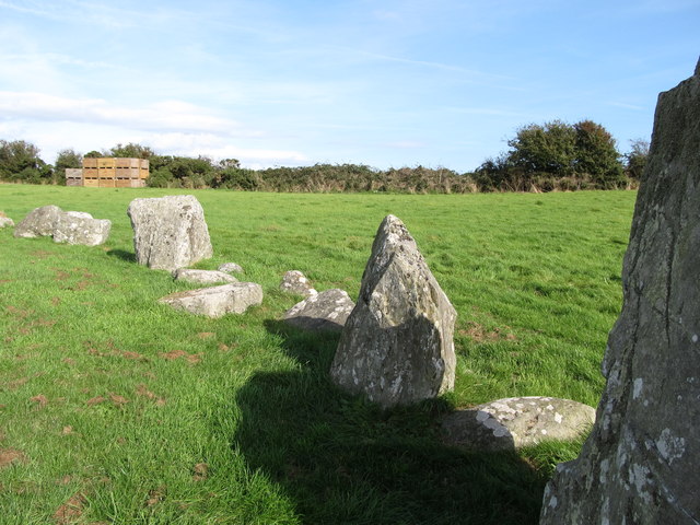 Some of the 70 upright stones in the... © Eric Jones :: Geograph Ireland