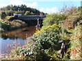 Aqueduct over the Kelvin at Balmuildy Bridge