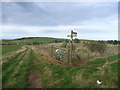 NT8669 : Rural Berwickshire : Unmarked Junction by Richard West