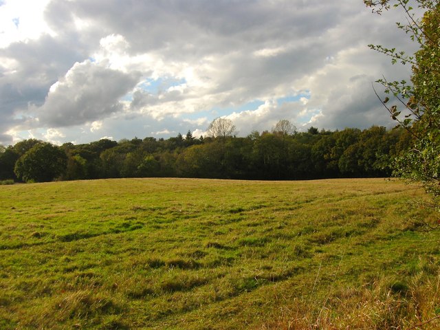 Pickwell Field