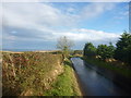 Rural Berwickshire : After The Rain