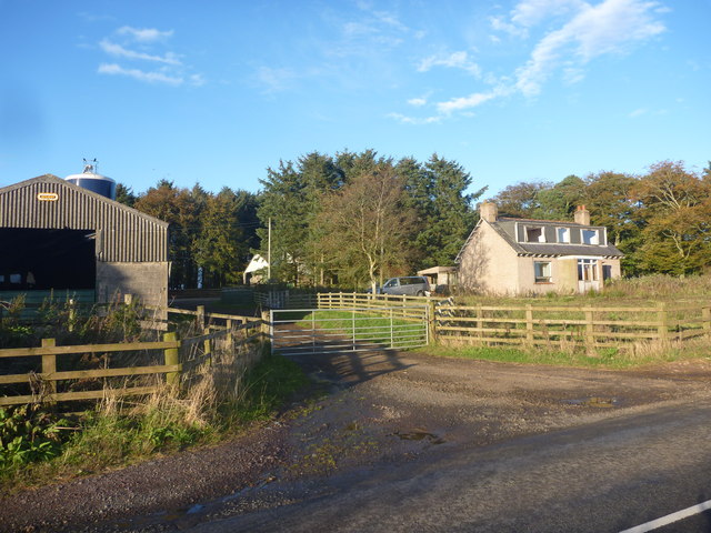 Rural Berwickshire : North Falaknowe, Near Coldingham