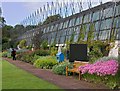 NT2475 : Glasshouses, Edinburgh Botanic Garden by Paul Harrop