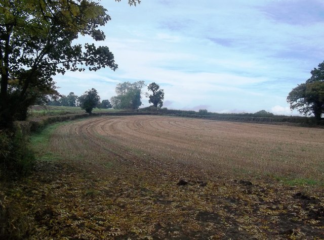 Field of Stubble by Willowpit Lane