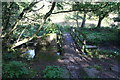 Footbridge over Black Brook