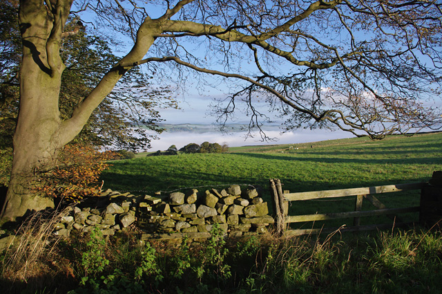 Farmland below Caton Moor
