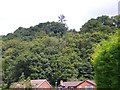 Bullmeadow Coppice