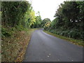 View westwards along Woodgrange Road on the north side of Ballydugan Lake