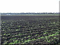 Farmland off Southport New Road (A565)