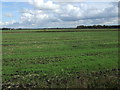 SD3817 : Rich farmland off Wyke Lane by JThomas