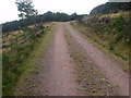 NH7077 : Forest track on Cnoc an t-Sabhail by ian shiell
