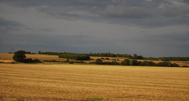 Farmland, Abbots Ripton