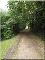 TG1908 : Footpath off the B1108 Earlham Road by Geographer