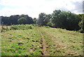 North Downs Way, Wye Downs