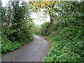 The Greensand Way along Hunton Hill