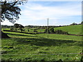 Grazing land to the west of Woodgrange Road