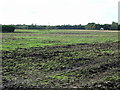 Farmland, Smithy Lane Ends