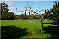 TQ0045 : Playing Field at Gosden House School, Bramley by Peter Trimming