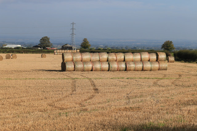 Harvest in and straw baled