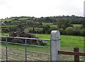 Drumlins south-southwest of Woodgrange Road/Annadorn Road junction