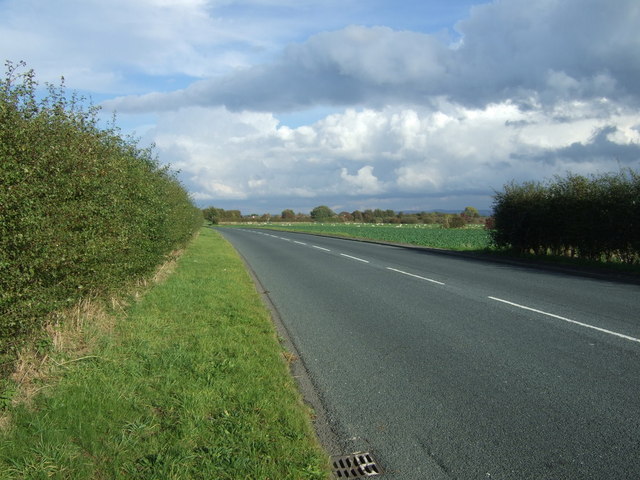 Meadow Lane (A581) 