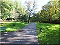 Parkland by the River Kelvin