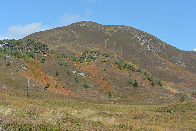 Slopes on the north side of Glen Cannich
