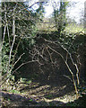 Disused pit by the bridleway below Crabmill Farm