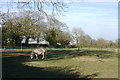 Paddocks by Crabmill Lane, Headley Heath