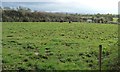 Cattle pasture, north of Longhead Farm