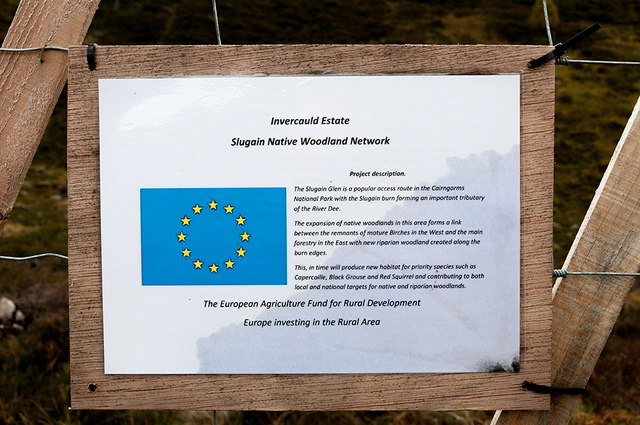 Slugain Native Woodland Network