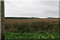 Farmland SW of Manor Farm, near Keelby