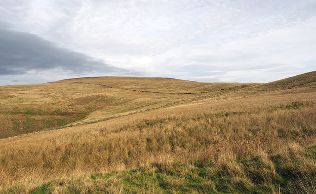 Grassy hill slope with rushes below Harland Hill