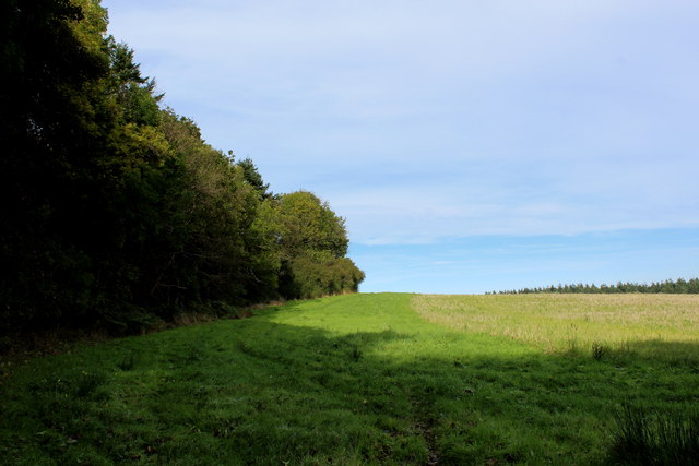 Northumberland Coast Path at the Wood Edge