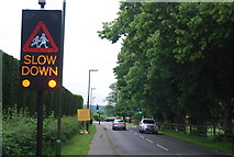 TQ3428 : Slow down! by N Chadwick