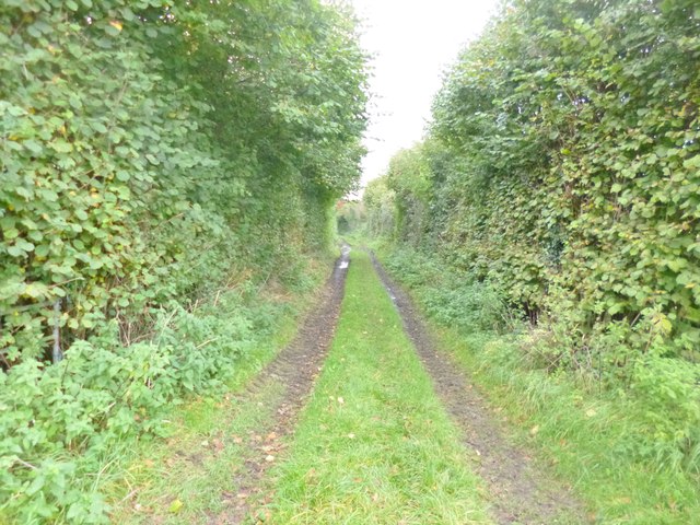 Lower Burgate, farm track