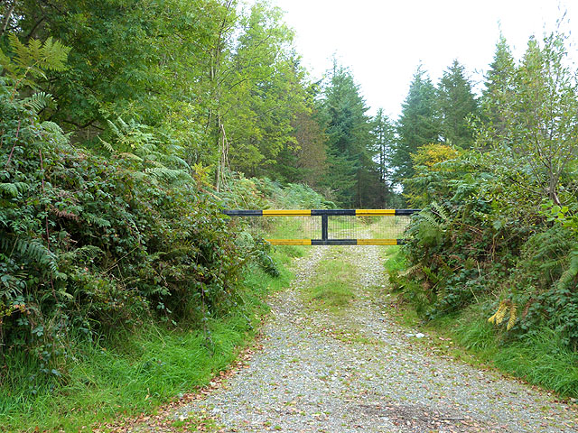 Forest track at Ballydowling © Oliver Dixon cc-by-sa/2.0 :: Geograph ...