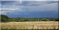 Grassland south of Cookham Dean