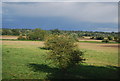 Farmland by the Marlow Branch Line