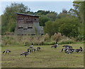 SK6010 : Plover Bird Hide at Watermead Country Park by Mat Fascione