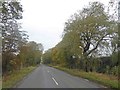 Willow trees line the B1398