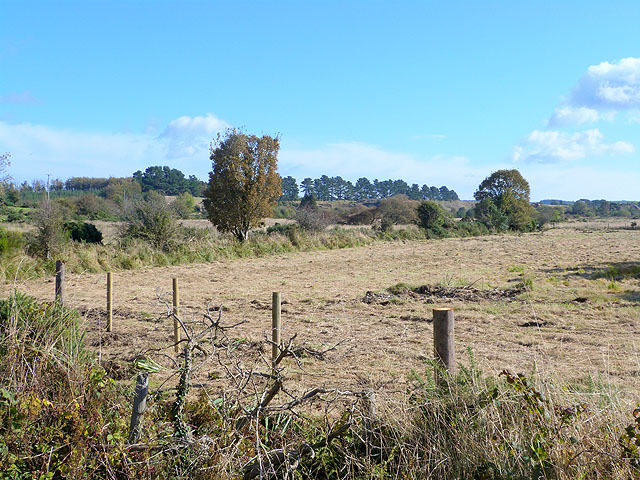 Mown field near Moneytown Bridge