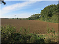 Tilled field