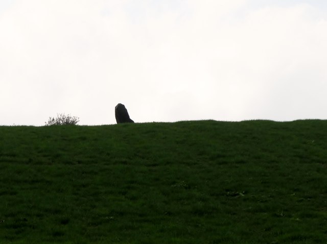 Close up of the standing stone on the ridge above Shaughan Road