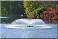 NT5134 : Fountain, Gun Knowe Loch Tweedbank by Jim Barton
