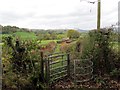 Llwybr Ty Newydd Path