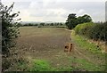 Farmland, The House on the Hill