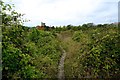 Path to Harrietsham Church