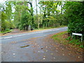 Looking across Sandhurst Road from Tintagel Road