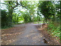 Byway reaches junction near Chapel Green